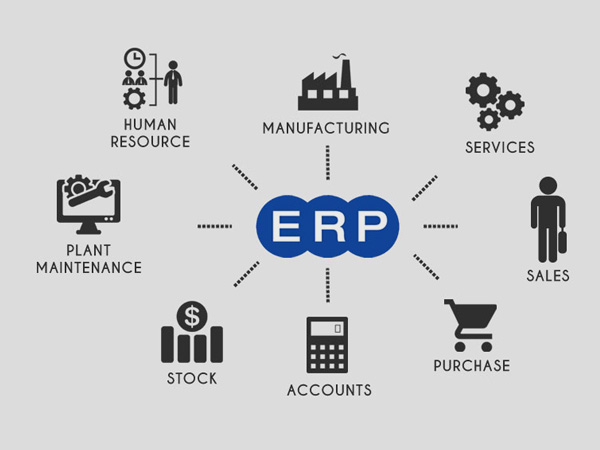 ERP-company